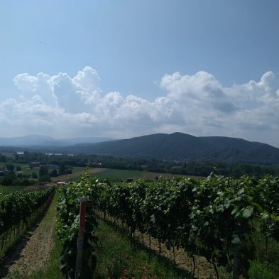 Geodetické práce - Pozemkové úpravy