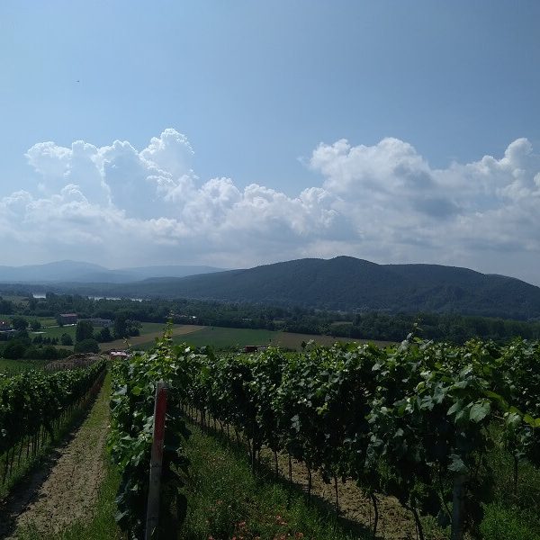 Geodetické práce - Pozemkové úpravy