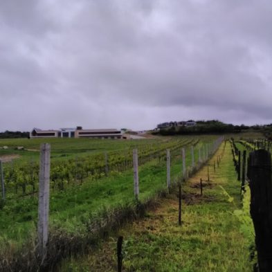 Geodetické práce - Pozemkové úpravy