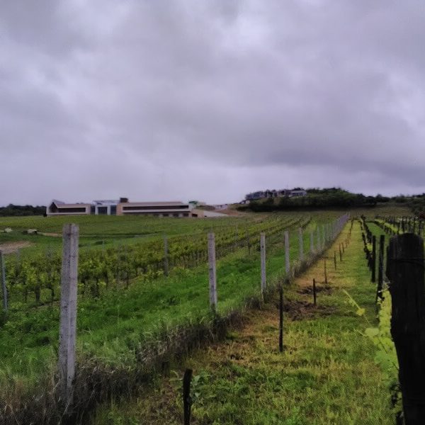 Geodetické práce - Pozemkové úpravy